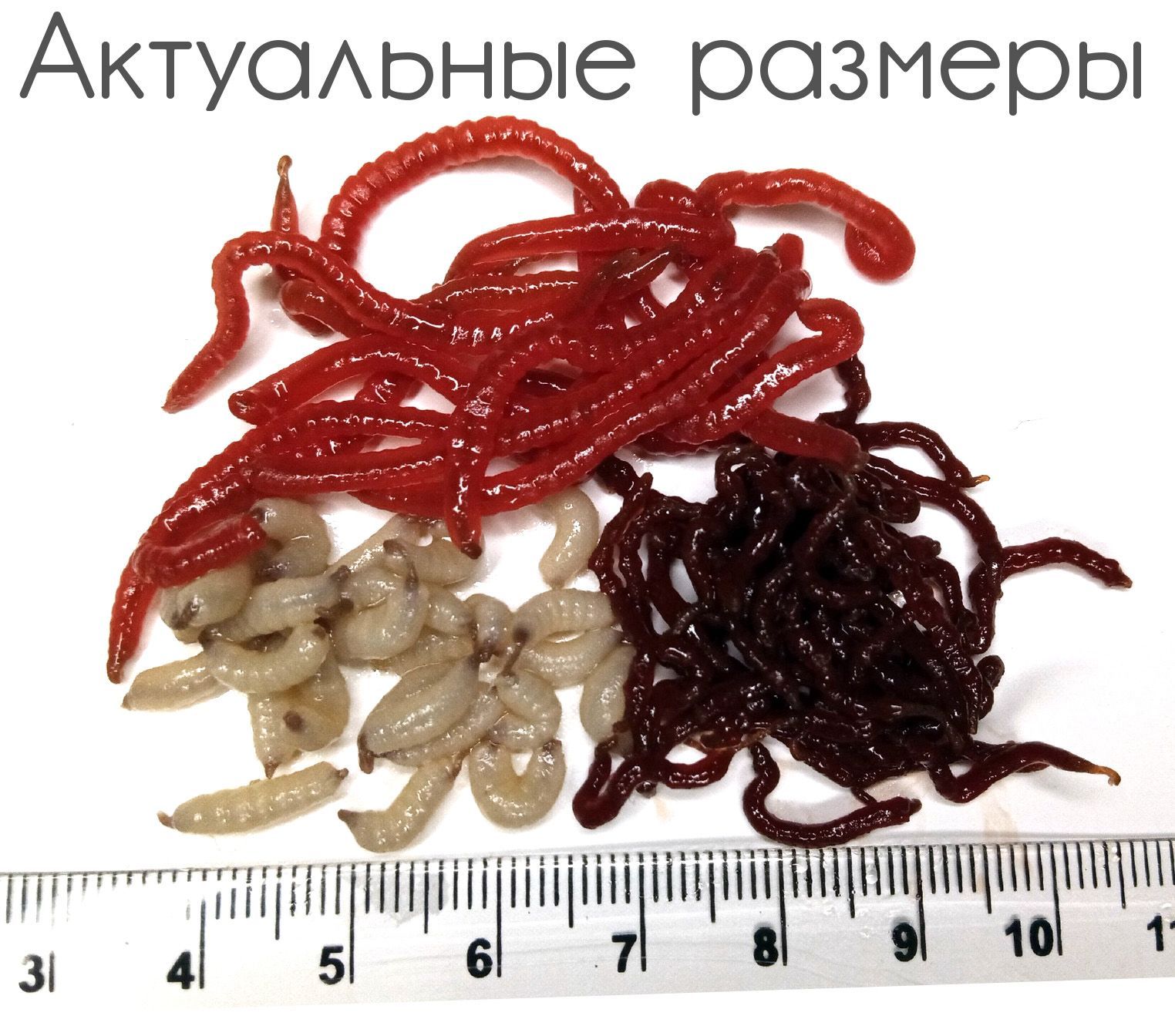 Съедобная мягкая белковая приманка Опарыш КРАСНЫЙ + мотыль по 5 гр / от 100 шт отборный от апр'26 — изображение 4